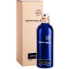 Montale Amber & Spices 100 ml parfumovaná voda unisex