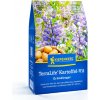 Zelené hnojenie Terralife - zemiaky - predaj semien - 0,5 kg