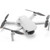 DJI Mini 2 SE Fly More Combo CP.MA.00000574.01