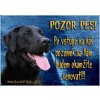 Pozorpes.sk, výstražná tabuľka (Retríver čierny)
