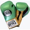 Cleto Reyes High Precision Training