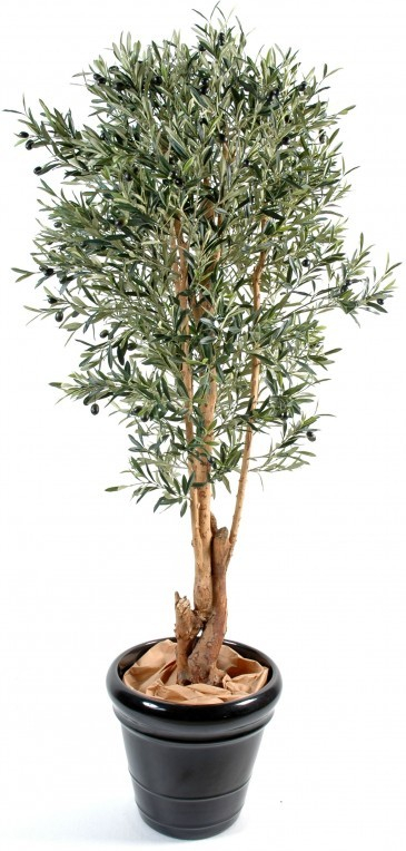 Umelý strom Olivovník prírodný kmeň deluxe, 170cm