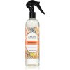 Areon Room Spray Apple & Cinnamon bytový sprej 300 ml