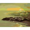 Zuty – Maľovanie Podľa Čísel – Aligátor Pri Vode (D. Rusty Rust), 40 × 50 cm, Plátno 8596530157687