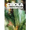 Cibola meghódítása - A Térség 4.