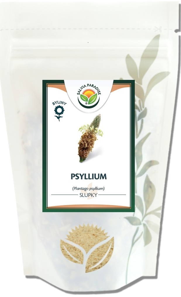 Salvia Paradise Psyllium 1 kg