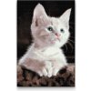 Vymalujsisam.sk Diamantovanie podľa čísiel - Biela mačka Veľkosť: 40x60cm, Rám: Na kartónovej doske, Diamanty: Hranaté