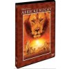 Africké kočky Království odvahy DVD