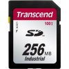 Transcend Industrial Compact Flash 256MB TS256MSD100I