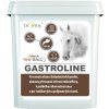 DROMY Gastroline 3000g