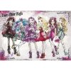 Fototapeta na stenu - FT2222 - Ever After High 152cm x 104cm - Vliesová fototapeta