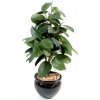 Kaučukovník strom Luxe, 110cm (umelý ker)