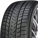 Gripmax Status Pro Winter 245/35 R20 95V