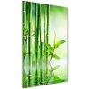 Vertikálny foto obraz akrylové sklo Bambus vo vode 50x100 cm