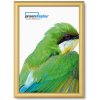 Jansen Display Klaprám A3, ostrý roh, profil 25mm, zlatý elox, 328 x 451 mm