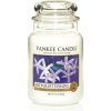 Yankee Candle Midnight Jasmine 104 g