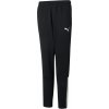 Puma teamLIGA training pants Jr 65724303