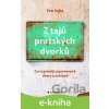 E-kniha Z tajů pražských dvorků - Petr Sojka