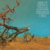 Tuttle Molly & Golden Highway - Crooked Tree / Vinyl [LP]