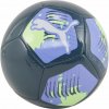 Futbalová lopta Puma Big Cat 84214 14