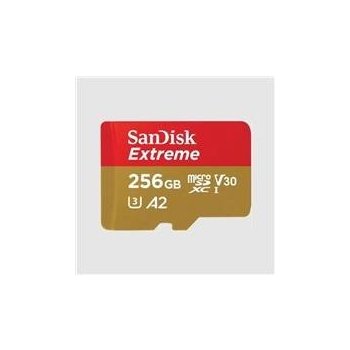 SanDisk microSDXC 256GB SDSQXAV-256G-GN6MA