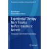 Experiential Therapy from Trauma to Post-traumatic Growth (Kate Hudgins,Steven William Durost)(Brožovaná)