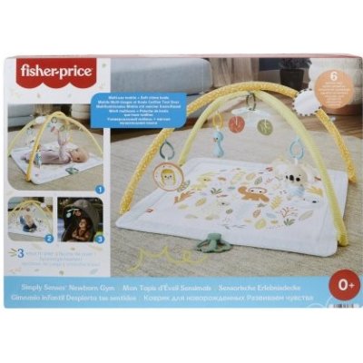 Fisher-Price® Hracia dečka so senzorickými hračkami HRB15