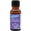 Q Home Vonný olej Levandula 18 ml