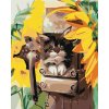 zuty Maľovanie podľa čísel - Mačiatko v búdke a slnečnice, 40x50 cm, bez rámu a bez vypnutia plátna (8596530039846)