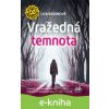 E-kniha Vražedná temnota - Lisa Regan
