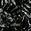 Lizzard - Mesh [CD]