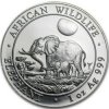 Bayerische Hauptmünzamt strieborná minca minca African Wildlife Elephant 2011 1 Oz