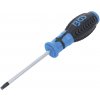 BGS 4922 | Skrutkovač | T-profil (pre Torx) T30 | dĺžka čepele 100 mm