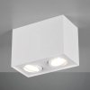 Trio Lighting Stropné svietidlo Biscuit, dvoj-plameňové, biele - 613000231