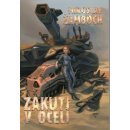 Zakuti v oceli