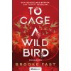 To Cage a Wild Bird - Rabmadár (Brooke Fast)(Brožovaná)