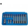 Bity 10 mm, Torx T20 - T55, adaptér 1/2