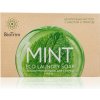 Greenway EKO prírodné mydlo na ručné pranie 125g, Variant • EKO mydlo MINT 1ks