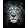 ZUTY Maľovanie podľa čísel - ČIERNOBIELY LEV Rámovanie: bez rámu a bez vypnutia plátna, Rozmer: 40x50 cm