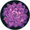 Vymalujsisam.sk Maľovanie podľa čísiel - Fialová mandala Veľkosť: 50x50cm, Rám: Na plastovej doske