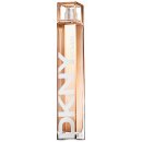 Parfum DKNY Fall Metallic City toaletná voda dámska 100 ml Tester