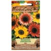 MoravoSeed Slnečnicové semienka ročné jednoduché zmes 45 s
