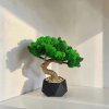 Bonsai zo stabilizovaného machu 20 cm. v geometrickom betónovom kvetináči