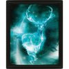 Plagát 3D obraz Harry Potter - Patronus v ráme 23,4 x 28,4 cm