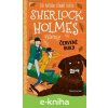 E-kniha Sherlock Holmes vyšetruje: Červené buky - Arthur Conan Doyle, Stephanie Baudet