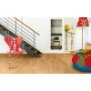 Parador Basic 11-5 Natur Buk 1569684 4,07 m²