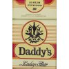 Daddy's (Lindsay Hunter)(Brožovaná)