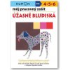 Toshihiki Karakido: Môj pracovný zošit Úžasné bludiská