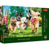 Puzzle 1000el. Premium Plus. Tea Time: Nadchodzą kłopoty! (Hra)