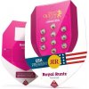 Royal Queen seeds Royal Runtz neobsahují THC 5 ks